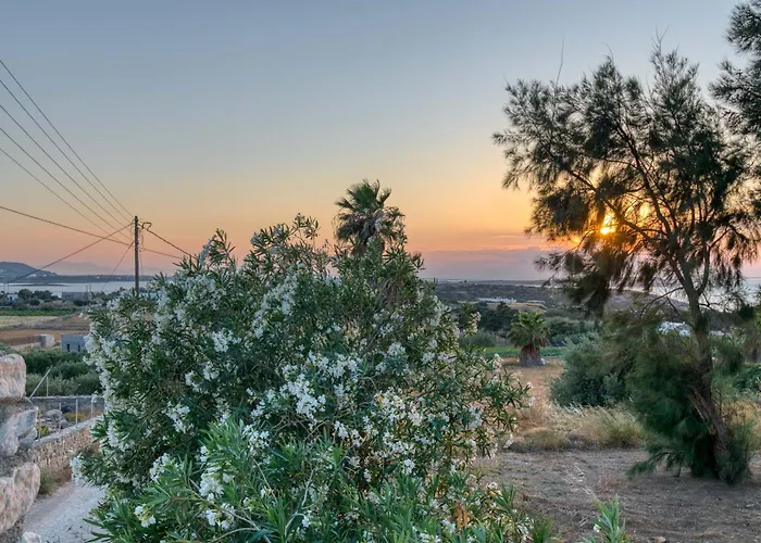 Paradisia Private Swimming Pool And Jacuzzi * Sarakiniko (Paros)